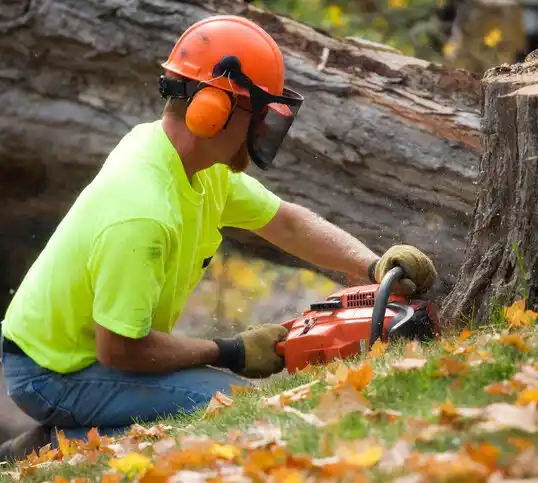 tree services Bennington